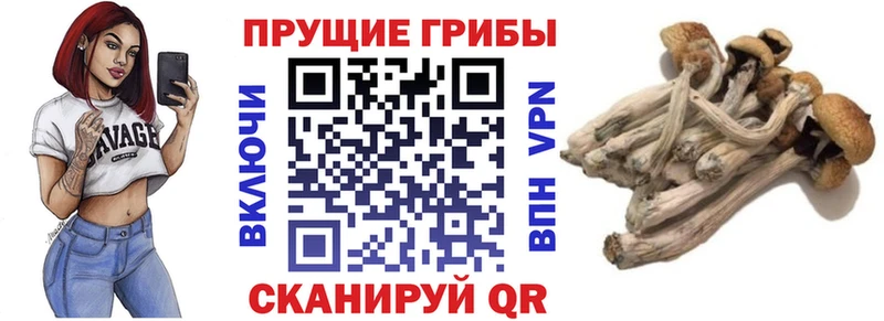 Галлюциногенные грибы мицелий Нюрба